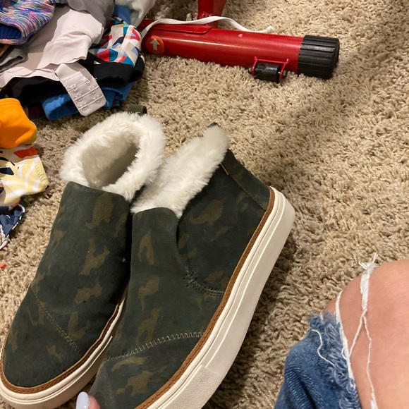 Cute Toms!! - Picture 2 of 2